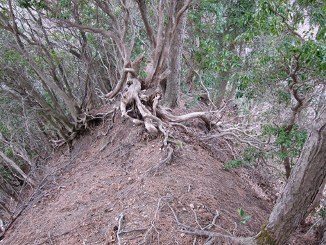 20200204hike (244)